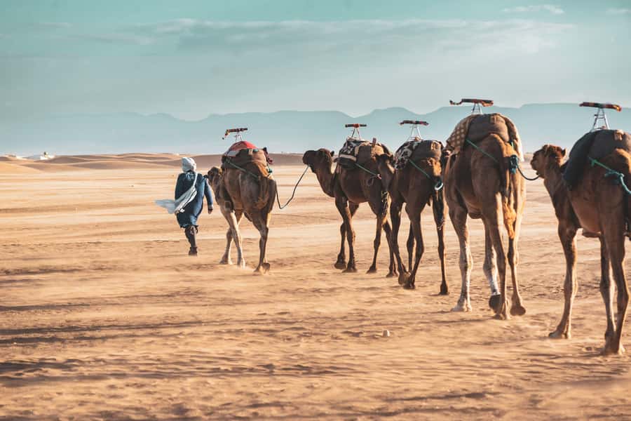 Marrakech to Zagora Desert: 2-Day trip via Ait Benhadou - The morning drive from Marrakech