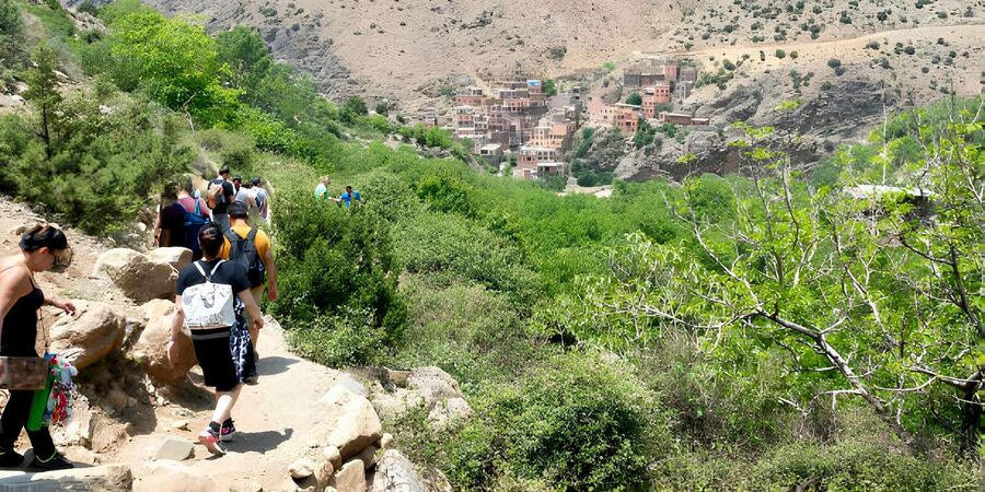Marrakesh: Ourika Valley & Atlas Mountains Day Trip + Lunch - Transport, timing, and group size