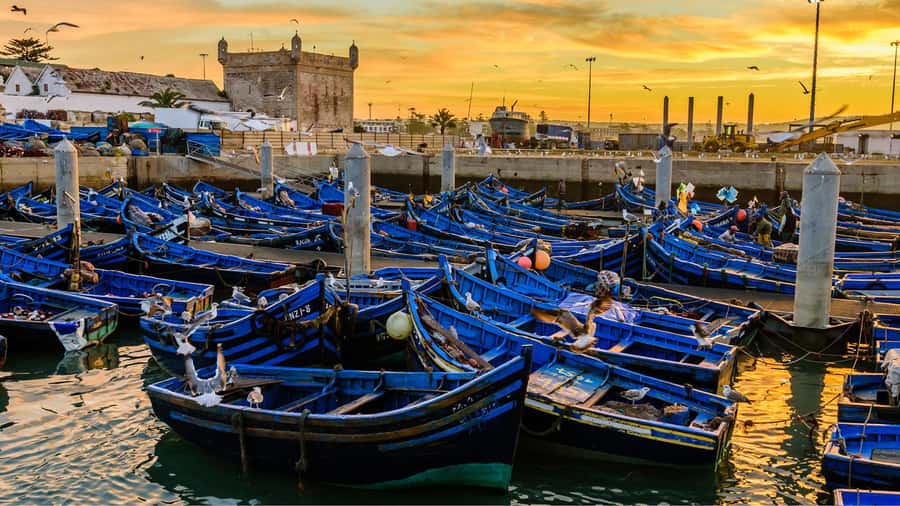 Marrakesh to Essaouira: Small-Group Day Trip & Cooperatives - Key points at a glance