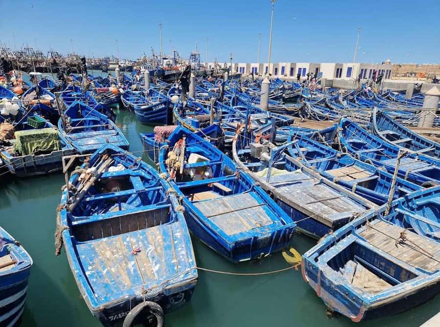 Marrakesh to Essaouira: Small-Group Day Trip & Cooperatives - Why Essaouira makes a good change from Marrakesh