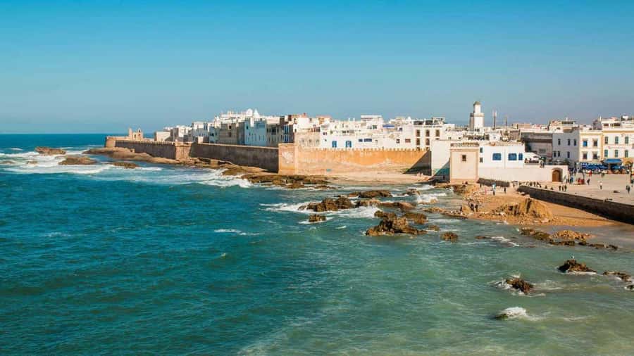 Marrakesh to Essaouira: Small-Group Day Trip & Cooperatives - Fresh fish, simple lunch, and ocean air