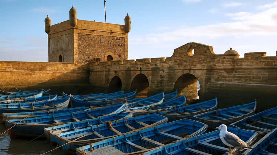 Marrakesh to Essaouira: Small-Group Day Trip & Cooperatives - How much free time will you really have?