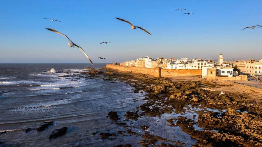 Marrakesh to Essaouira: Small-Group Day Trip & Cooperatives - Drivers and guides can shape the day