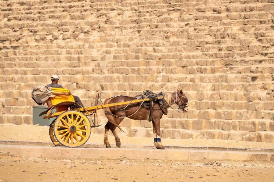 Marsa Alam: Ancient Cairo & Giza Pyramids Day Trip by Plane - Optional Nile boat trip and extra costs