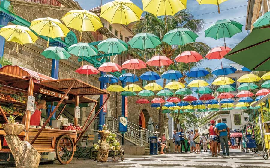 Mauritius: Port Louis and Northern Highlights Full-Day Trip - What this Mauritius day tour is really trying to do