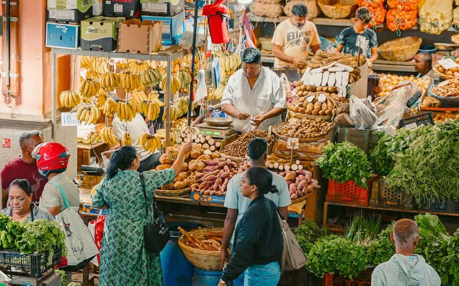 Mauritius: Port Louis and Northern Highlights Full-Day Trip - Port Louis Central Market brings the most local flavor