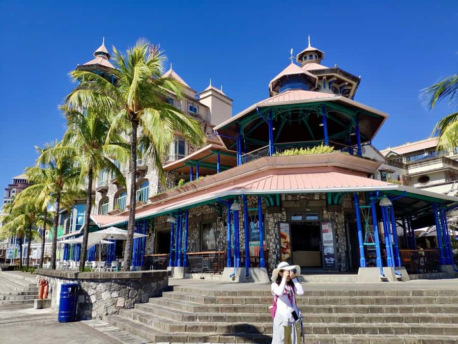 Mauritius: Port Louis and Northern Highlights Full-Day Trip - The driver can make or break the day