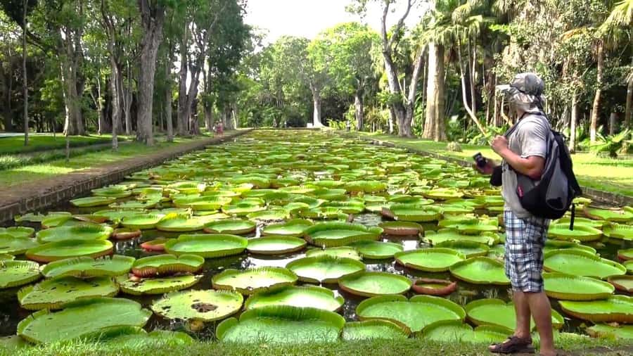 Mauritius: Port Louis and Northern Highlights Full-Day Trip - Fort Adelaide gives you the quickest view of Port Louis
