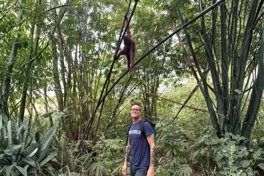 Medan: Mount Leuser National Park Full-Day Trip - A Long Road from Medan to Bukit Lawang