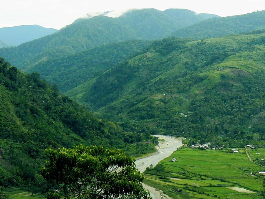 Medan: Mount Leuser National Park Full-Day Trip - Weather, Clothing, and What to Carry