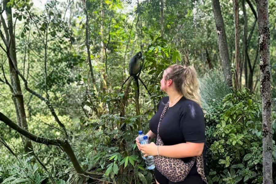 Medan: Mount Leuser National Park Full-Day Trip - Who Should Book This Day Trip?
