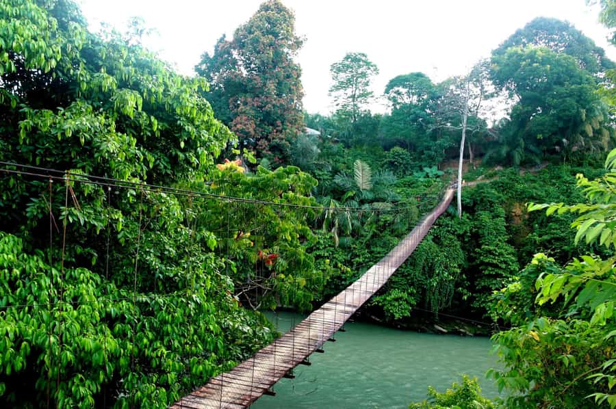 Medan: Mount Leuser National Park Full-Day Trip - Should You Book the Mount Leuser Day Trip?