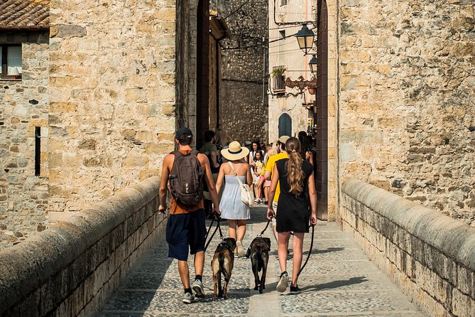 Medieval Three Villages Small Group Day Trip from Barcelona - Besalú: the strongest history stop