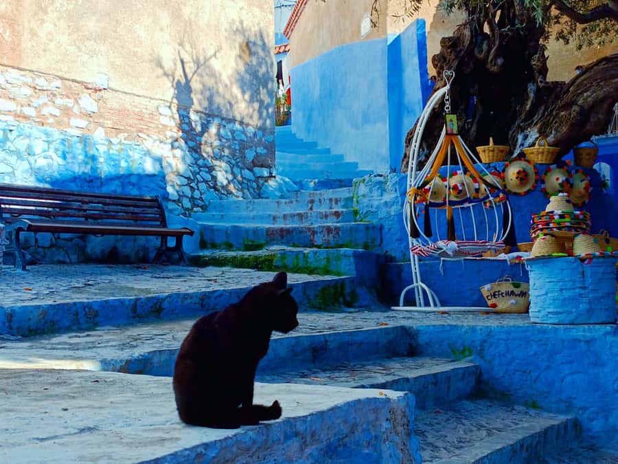 Memorable Day Trip From Fez to Chefchaouen the Blue City - First steps into Chefchaouen’s blue streets