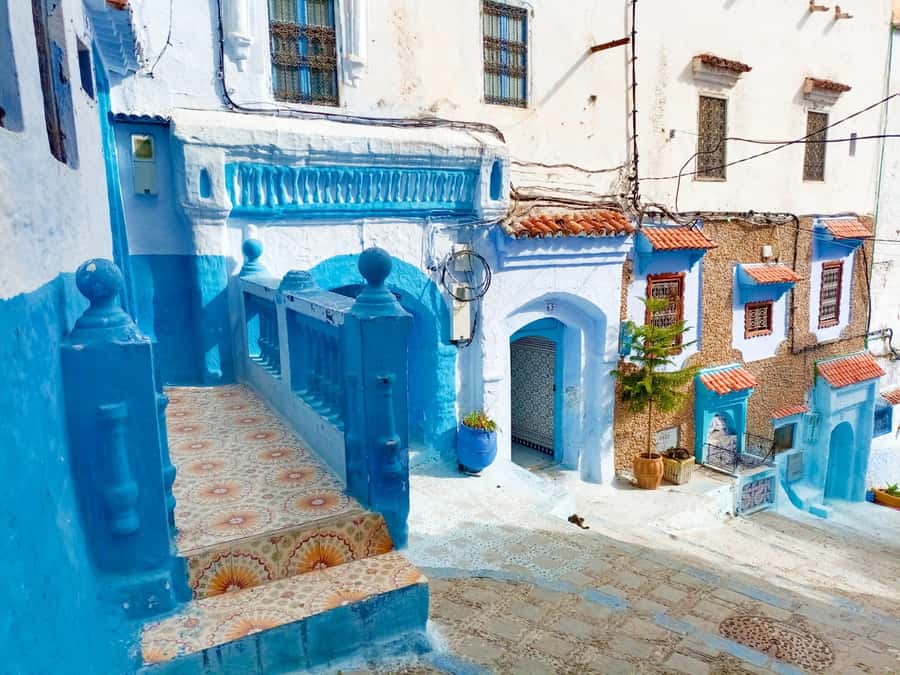 Memorable Day Trip From Fez to Chefchaouen the Blue City - Who gets the best value from this trip