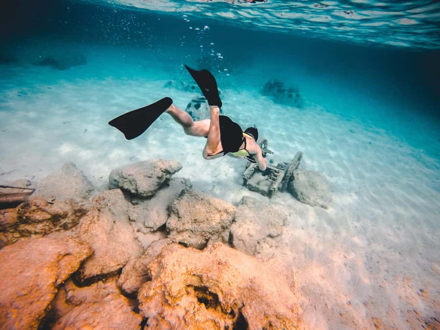 Miami: Key West Day Trip with pickup and boating options - Choosing snorkeling or dolphin watching