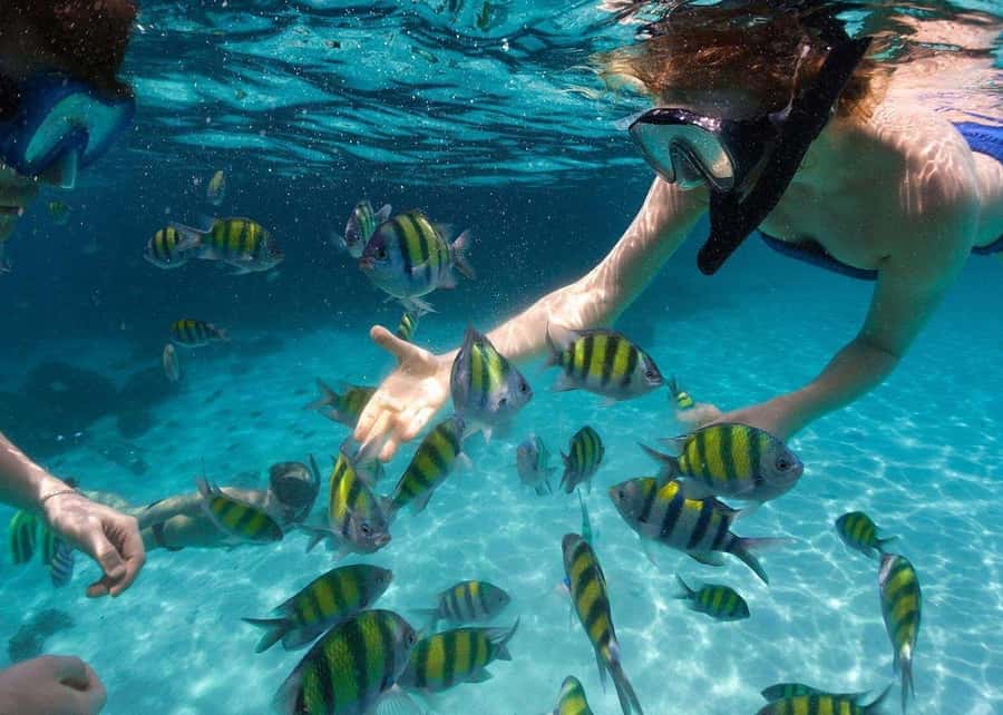 Miami to Key West Day Trip with Optional Activities - Key points to know before booking