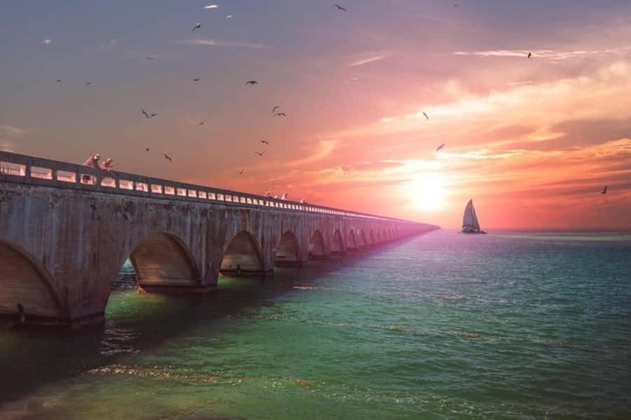 Miami to Key West Day Trip with Optional Activities - Pickup, buses, and the pace of the day