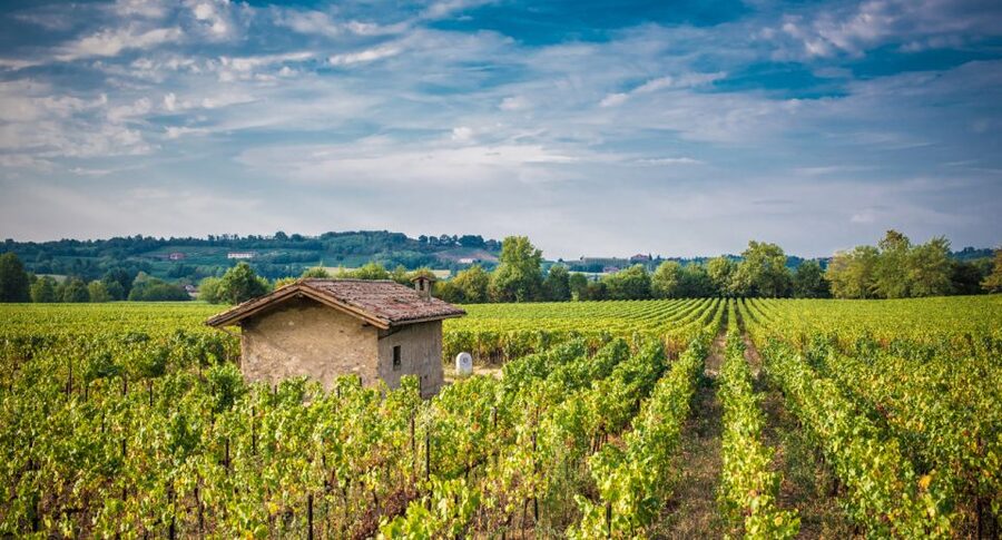 Milan: Franciacorta Winery and Bergamo Day Trip with Lunch - Key points to know before you book