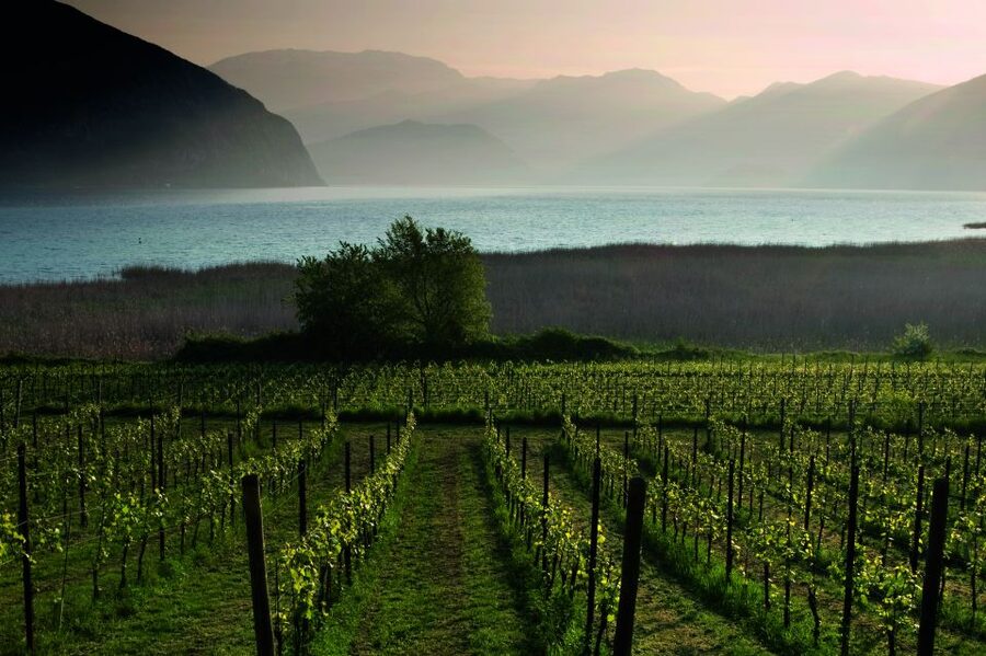 Milan: Franciacorta Winery and Bergamo Day Trip with Lunch - Lunch beside Lake Iseo