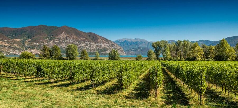 Milan: Franciacorta Winery and Bergamo Day Trip with Lunch - Who should book this day trip