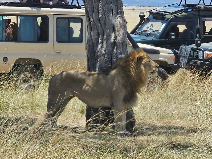 Mombasa: Tsavo East National Park Day Trip with Lunch - Lunch, and one detail you should confirm