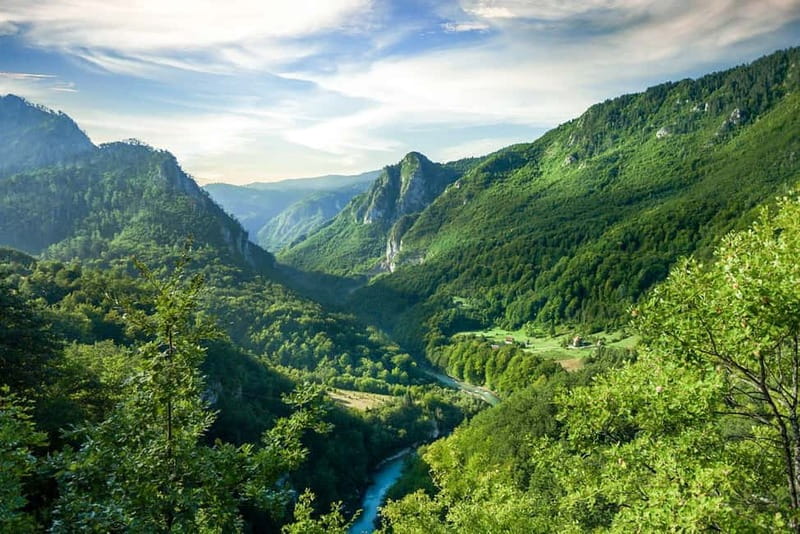 Montenegro: Durmitor, Tara & Ostrog Monastery Day Trip - Tara Canyon and the 365-meter bridge