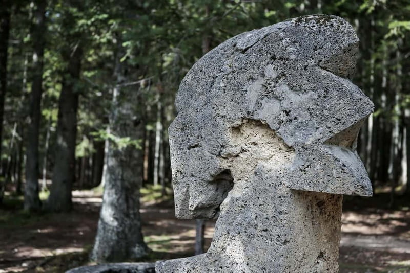 Montenegro: Durmitor, Tara & Ostrog Monastery Day Trip - Black Lake and the Durmitor walk