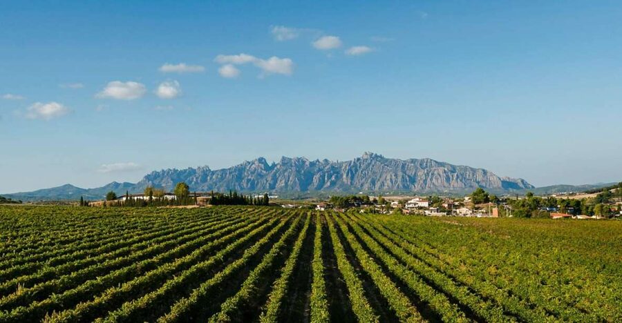 Montserrat & Cava Wineries Day Trip from Barcelona w/ Pickup - Why Montserrat is worth the long day from Barcelona