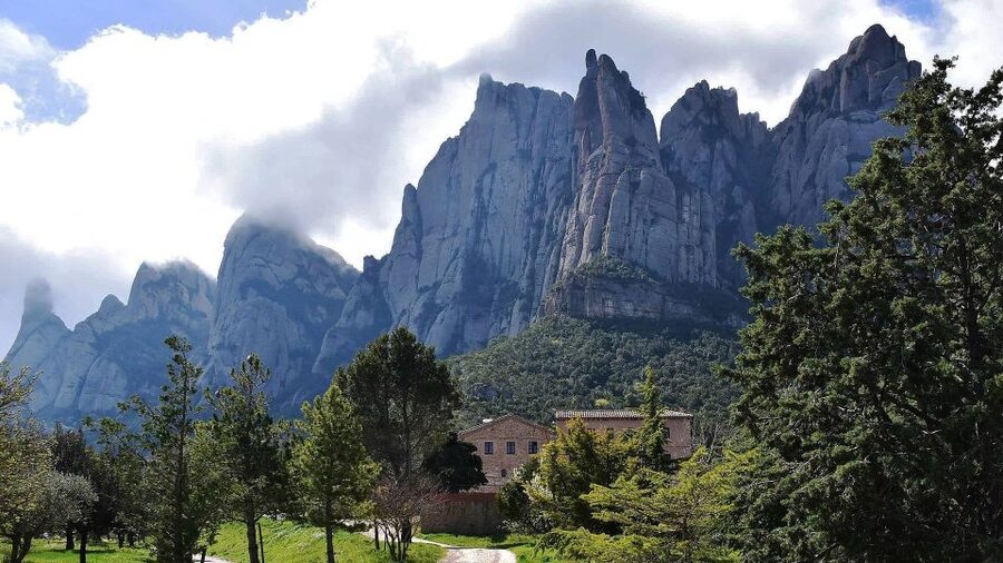 Montserrat & Cava Wineries Day Trip from Barcelona w/ Pickup - Transport, group size, and comfort