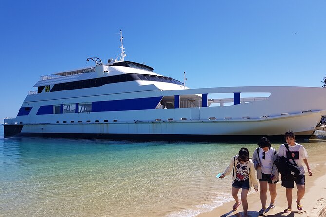 Moreton Island Day Trip (Kayak, Snorkel & Sandboard) frm Brisbane or Gold Coast - Transparent kayaks over the reef