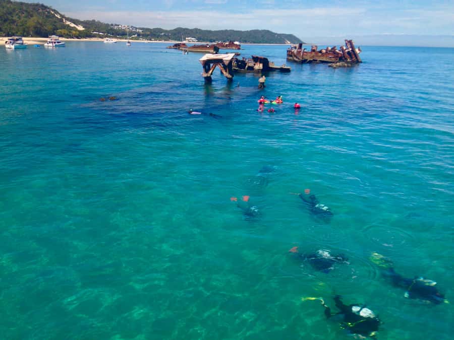 Moreton Island Day-Trip to Scuba Dive and More - Key points to know before you book