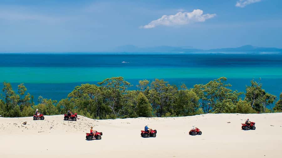 Moreton Island: Tangalooma Day Trip with ATV Quad Bike Tour - Making the $25 lunch voucher work