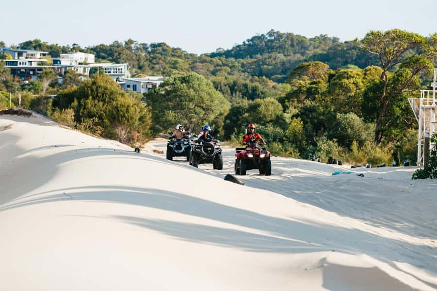 Moreton Island: Tangalooma Day Trip with ATV Quad Bike Tour - Dolphin information before the ferry home