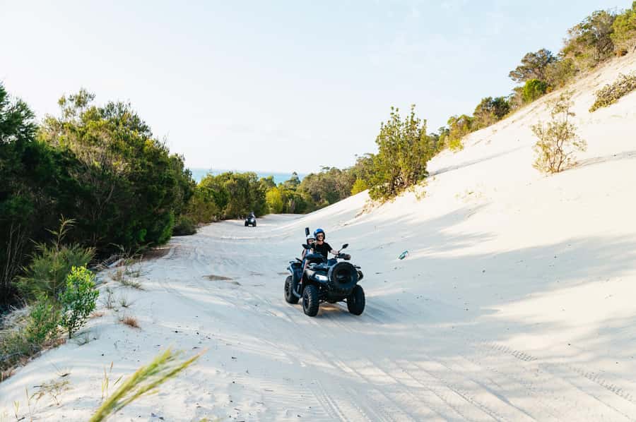 Moreton Island: Tangalooma Day Trip with ATV Quad Bike Tour - Who should book this Moreton Island trip?
