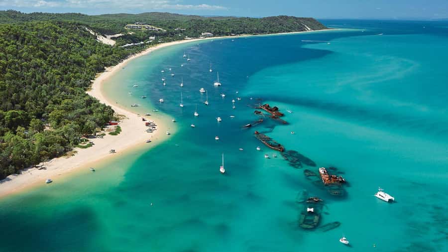 Moreton Island: Tangalooma Day Trip with ATV Quad Bike Tour - Is $119 a fair price?