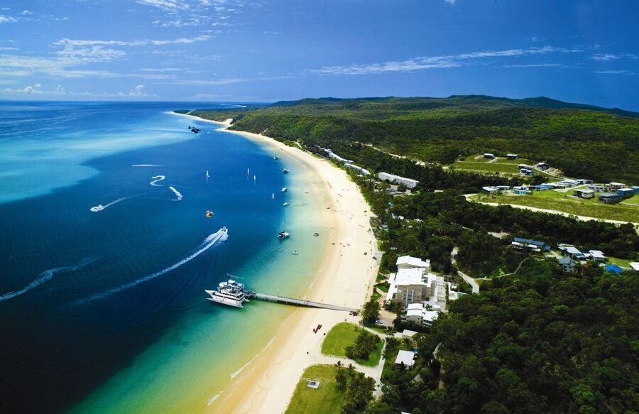 Moreton Island: Tangalooma Day Trip with Desert Safari - Fill the quieter hours with pools, beach, and wildlife