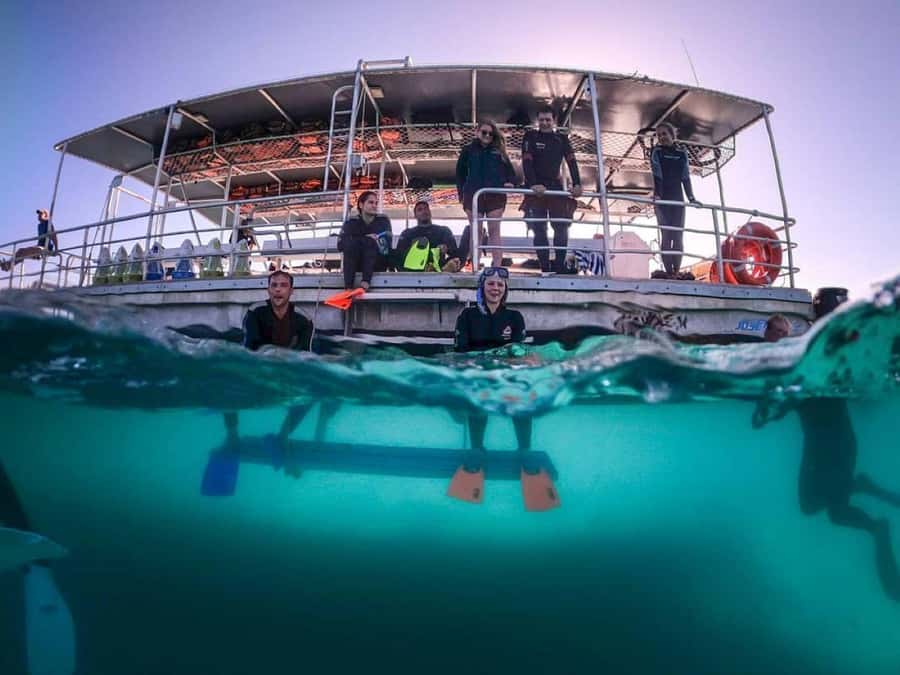 Moreton Island: Tangalooma Day Trip with Snorkeling Tour - From Brisbane to Moreton Island in 75 minutes