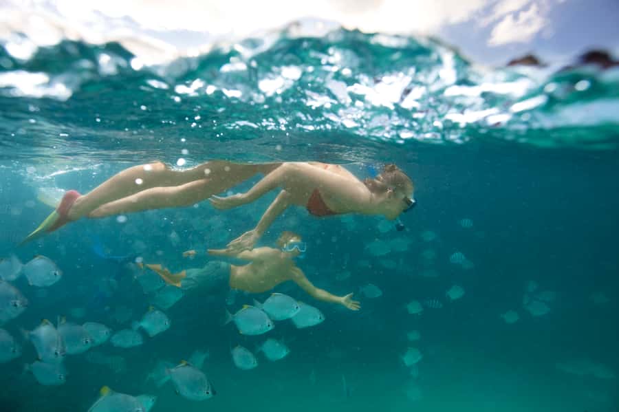 Moreton Island: Tangalooma Day Trip with Snorkeling Tour - Tangalooma Resort gives you a useful home base