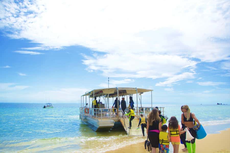 Moreton Island: Tangalooma Day Trip with Snorkeling Tour - Lunch is useful, but plan around the clock