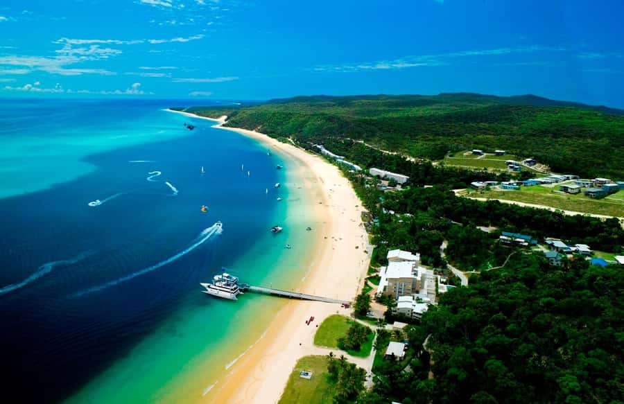 Moreton Island: Tangalooma Day Trip with Snorkeling Tour - The dolphin presentation closes the day