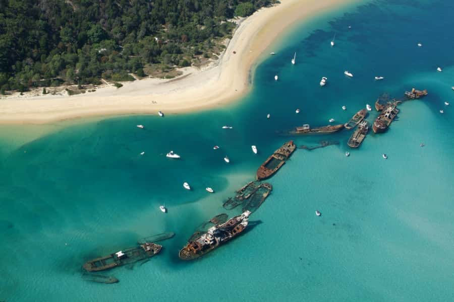 Moreton Island: Tangalooma Day Trip with Snorkeling Tour - Should you book it?