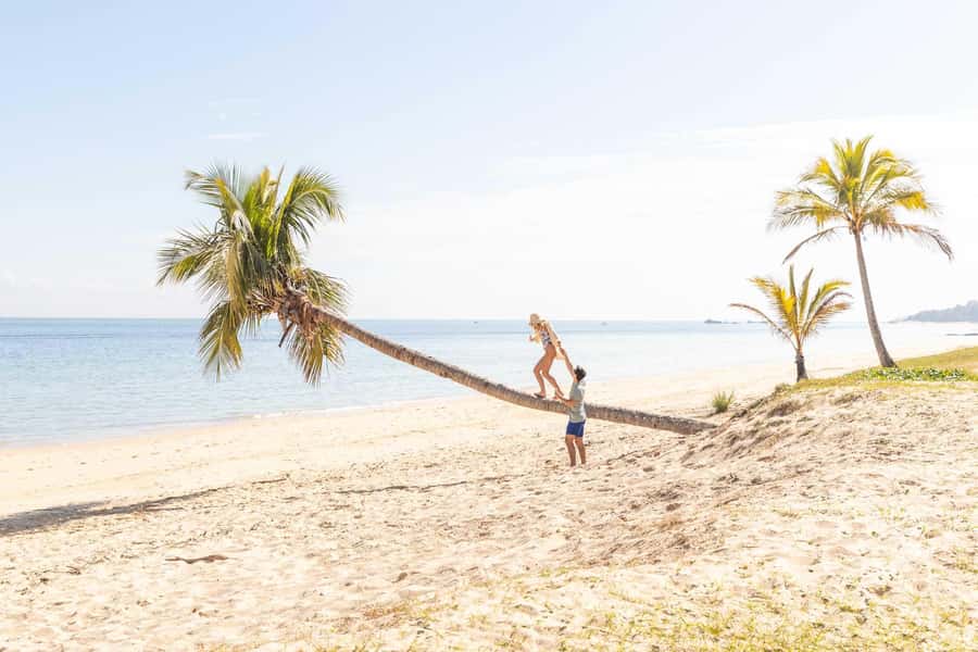 Moreton Island: Tangalooma Day Trip with Snorkeling Tour - FAQ