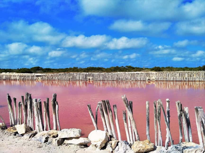 Motul, Hacienda, Xcambo, Pink Salt Mine & Progreso Day Trip - Who should book this experience