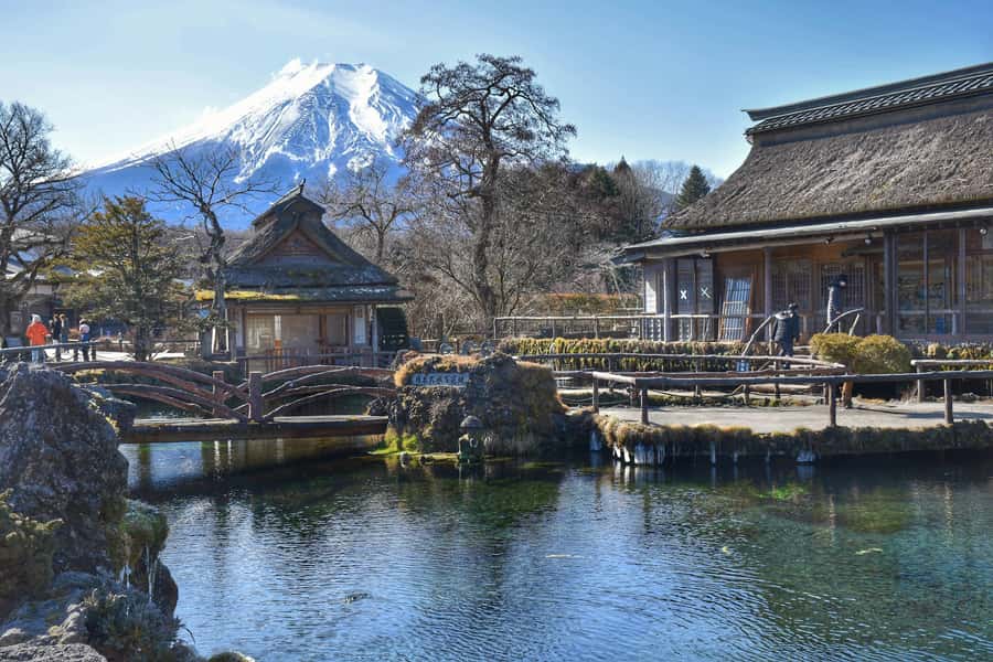 Mount Fuji Private Day Trip With Customizable Itinerary - Ropeway views and the Pirate Ship option