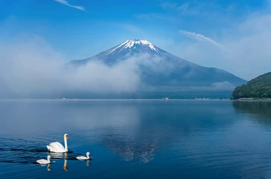 Mount Fuji Private Day Trip With Customizable Itinerary - How much customization can you really expect?
