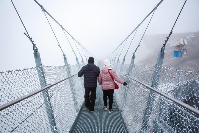 Mount Titlis and Lucerne Day Trip from Zurich - The Winter Snow Experience Option