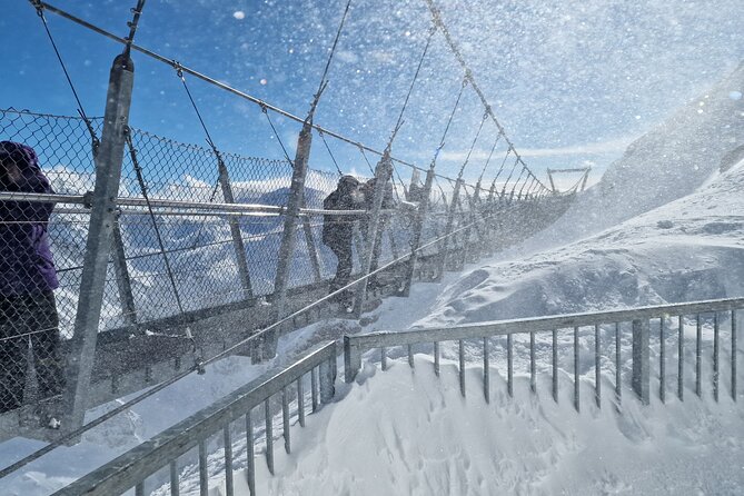 Mount Titlis Half-Day Trip from Lucerne - Cliff Walk: Europe’s highest suspension bridge