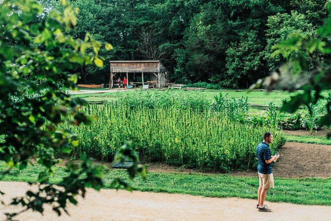 Mount Vernon and Old Town Alexandria Day Trip from Washington DC - What to see during your free time