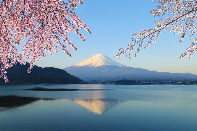 Mt. Fuji Day Trip from Tokyo with English Speaking Driver Guide - Key points before you book